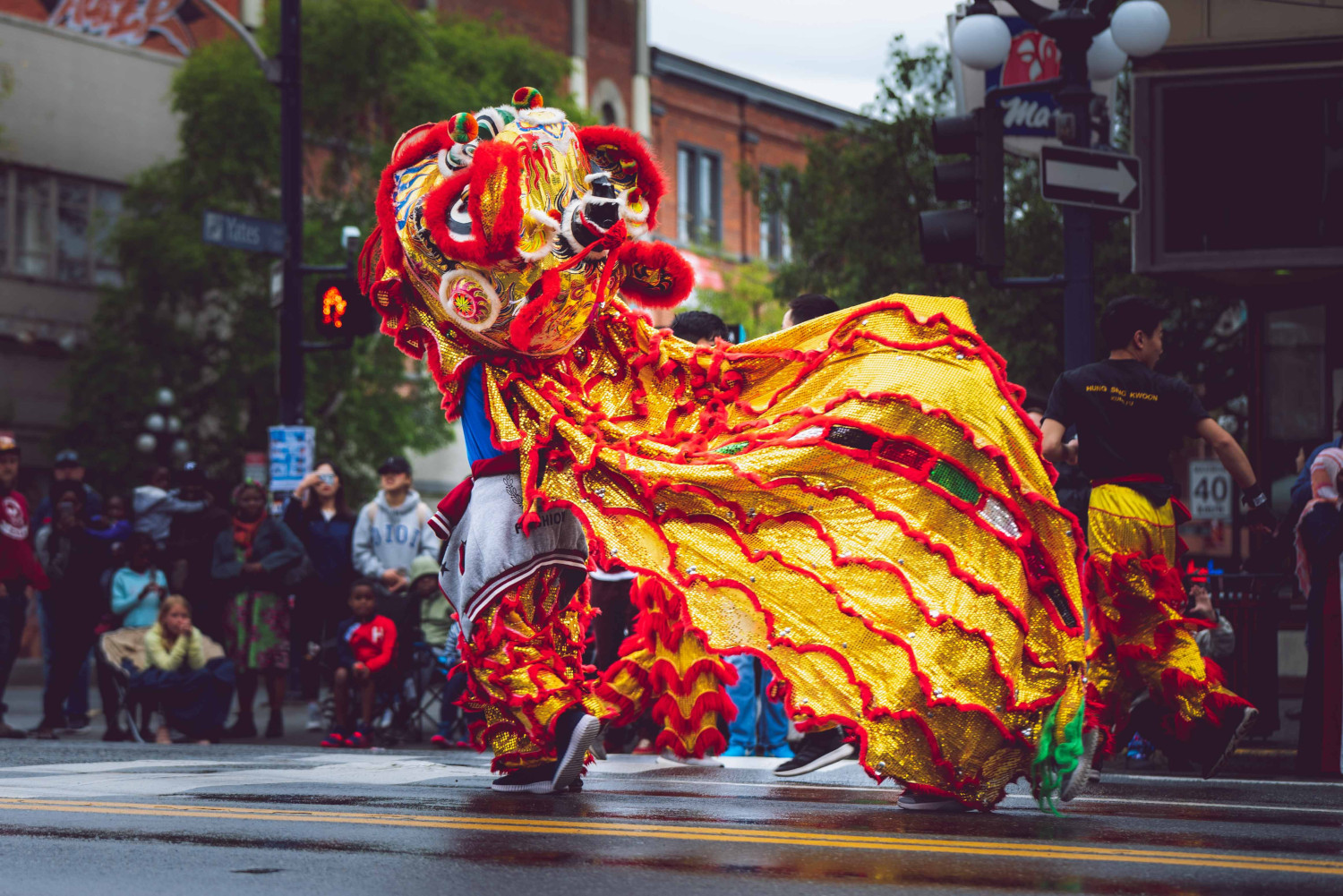 Chinese new year lion dance