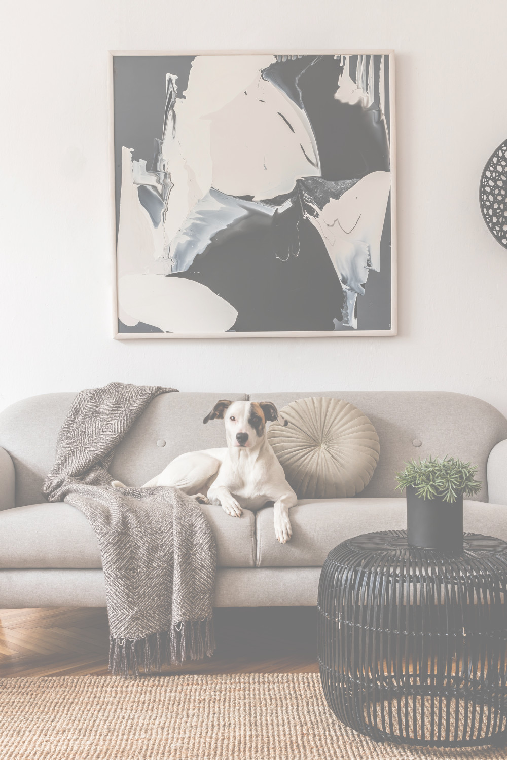 Dog sitting on sofa in living room with painting