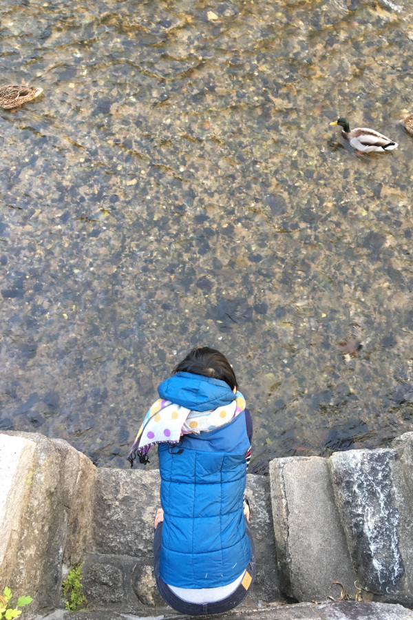 A stream and a boy in Kyoto