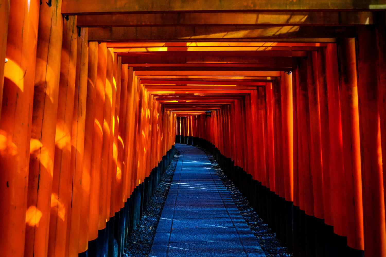 Japanese shirne with many red gates in Kyoto