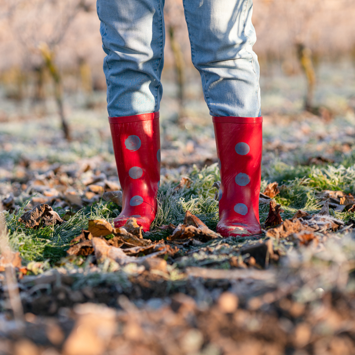 Standing in red rubber boots on Spring melted earth